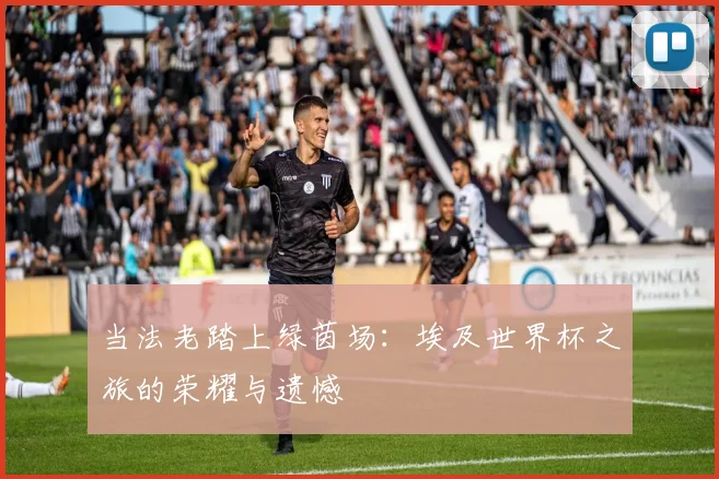 当法老踏上绿茵场：埃及世界杯之旅的荣耀与遗憾