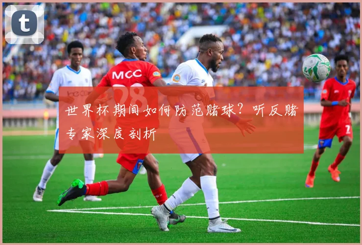 世界杯期间如何防范赌球？听反赌专家深度剖析