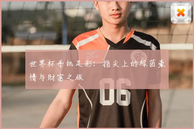 世界杯手机足彩：指尖上的绿茵豪情与财富之旅