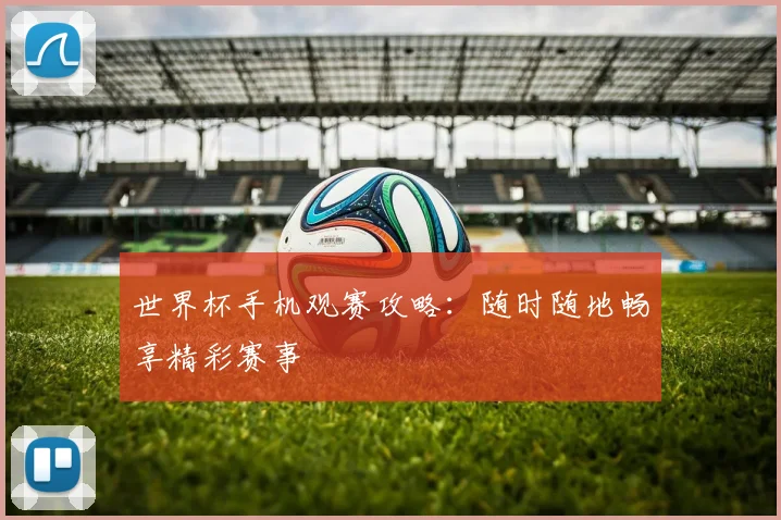 世界杯手机观赛攻略：随时随地畅享精彩赛事