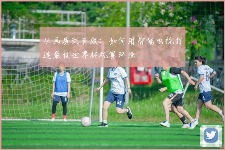 从画质到音效：如何用智能电视打造最佳世界杯观赛环境
