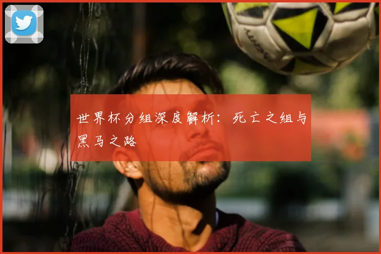 世界杯分组深度解析：死亡之组与黑马之路
