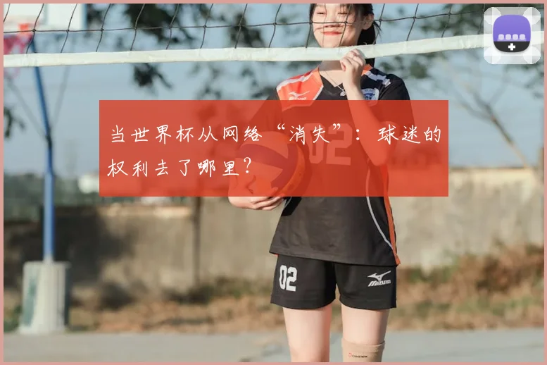 当世界杯从网络“消失”：球迷的权利去了哪里？